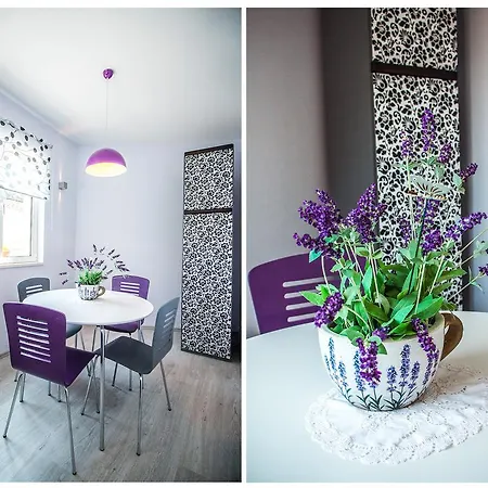 豪华马里安公寓